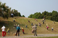 2011-06-03-15-26-42_ya.jpg