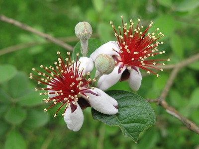 2011-06-14-14-47-26_aa.jpg