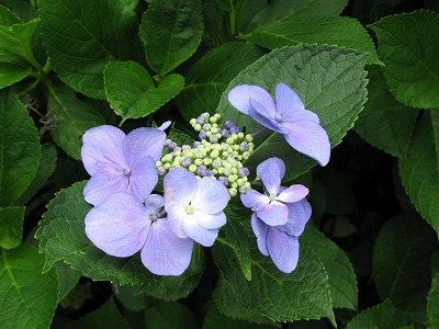 2011-06-14-14-49-27_aa.jpg