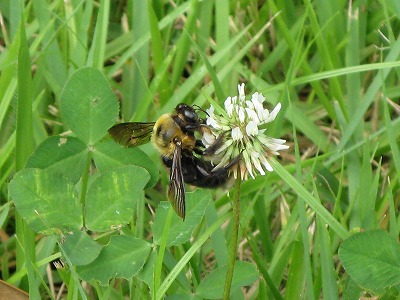 2011-06-29-09-31-51_aa.jpg