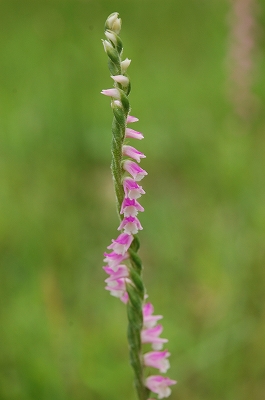 2011-06-29-12-31-27_ya.jpg