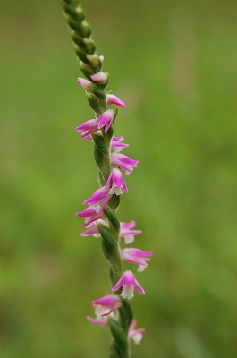 2011-06-29-12-31-54_ya.jpg