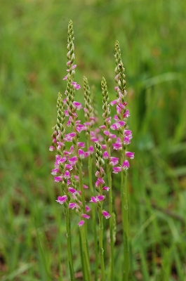 2011-06-29-12-32-20_ya.jpg