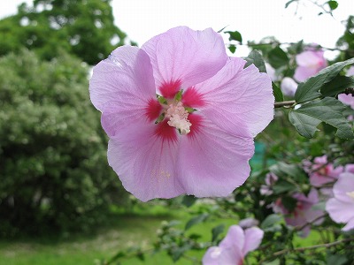 2011-07-07-14-29-41_aa.jpg