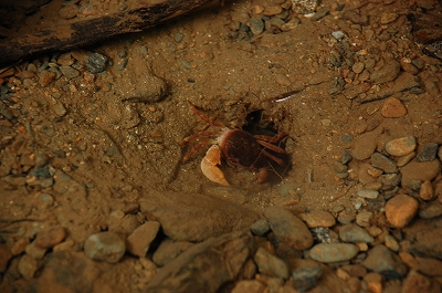 2011-08-01-12-38-08_ya.jpg