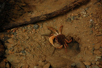 2011-08-01-12-38-16_ya.jpg