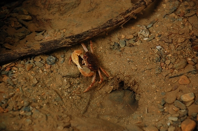 2011-08-01-12-38-22_ya.jpg