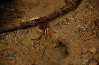 2011-08-01-12-38-25_ya.jpg