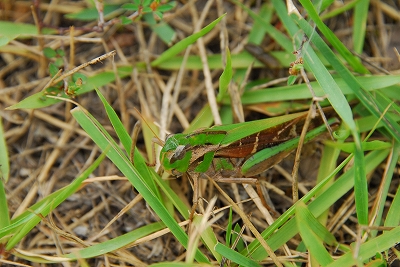 2011-08-18-12-40-26_ya.jpg