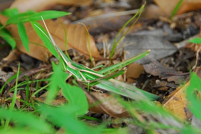 2011-08-25-13-10-15_ya.jpg