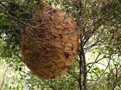 2011-10-07-11-51-49_ya.jpg