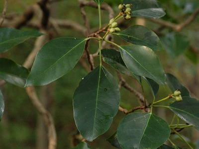 2011-10-13-15-19-06_ya.jpg