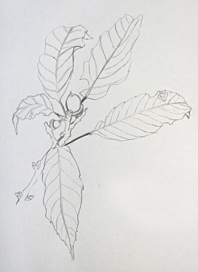 2011-10-18-15-03-48_yu.jpg