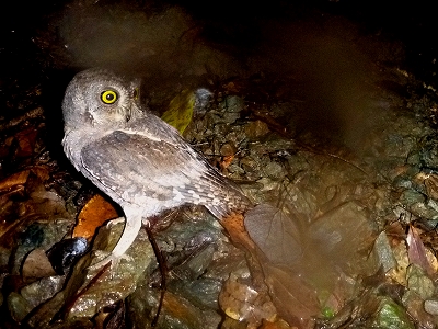 2011-10-21-18-18-56_ya.jpg