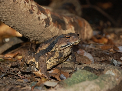 2011-11-01-15-48-03_ya.jpg