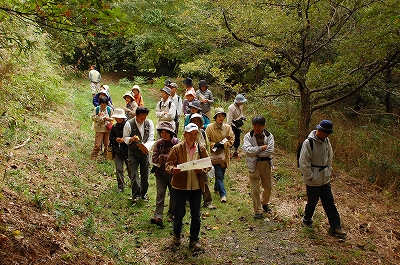 2011-11-09-11-04-48_ya.jpg