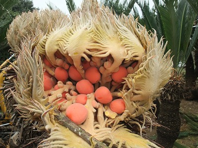 2011-11-10-09-42-15_aa.jpg