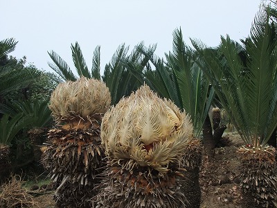 2011-11-10-09-42-20_aa.jpg
