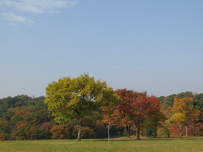 2011-11-30-11-06-21_aa.jpg