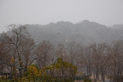 2012-01-04-11-54-28_ya.jpg