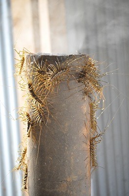 2012-01-11-09-48-33_ii.jpg