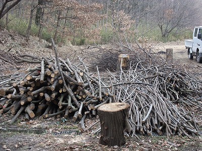 2012-01-25-13-23-42_aa.jpg