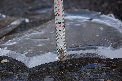 2012-02-03-08-26-22_ya.jpg