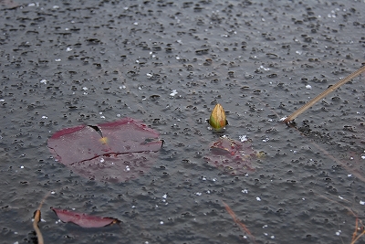 2012-02-03-09-12-22_ya.jpg