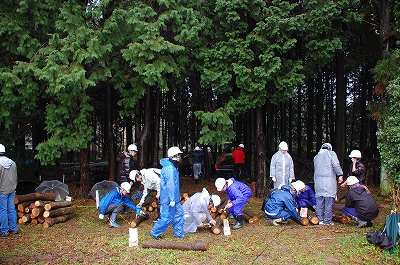 2012-02-15-09-30-38_ya.jpg