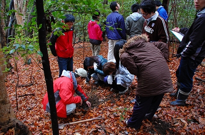 2012-02-15-14-11-56_ya.jpg