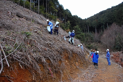 2012-02-21-09-59-36_ya.jpg