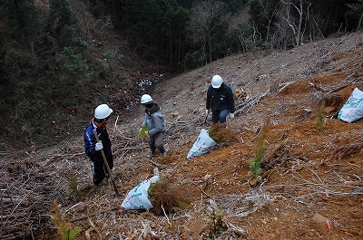 2012-02-21-10-00-24_ya.jpg