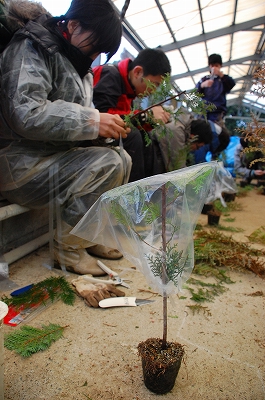 2012-02-22-15-58-20_ya.jpg