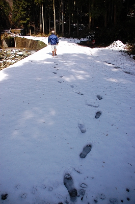 2012-02-29-13-58-36_ya.jpg