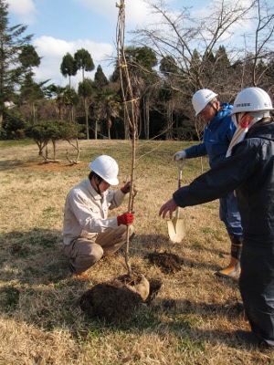2012-03-13-16-08-39_yu.jpg