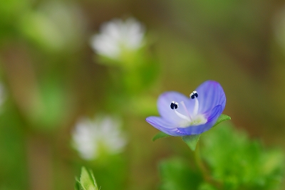 2012-03-19-12-31-43_ya.jpg