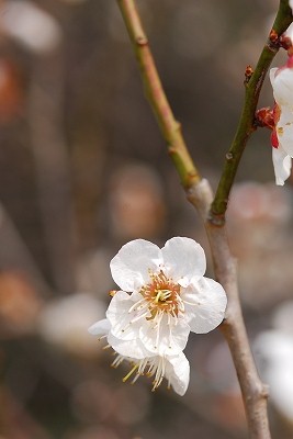 2012-03-19-12-53-29_ya.jpg
