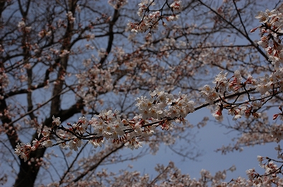 2012-04-02-11-26-57_ya.jpg