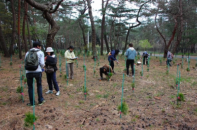 2012-04-10-15-11-15_ya.jpg
