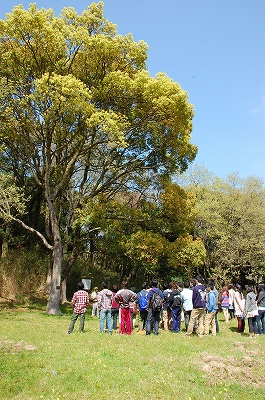 2012-04-12-13-51-49_ya.jpg