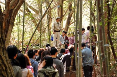 2012-04-12-14-00-45_ya.JPG