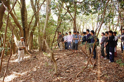 2012-04-12-14-05-45_ya.jpg