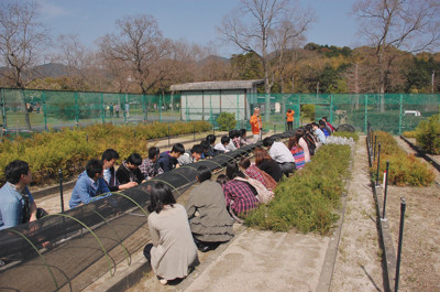 2012-04-12-14-44-28_ya.JPG