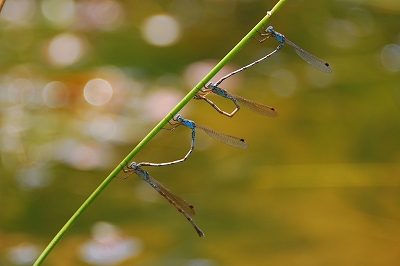 2012-04-24-12-38-22_ya.jpg