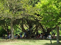2012-04-27-11-23-42_aa.jpg