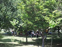 2012-04-27-11-31-13_aa.jpg