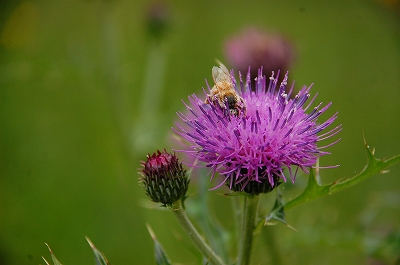 2012-05-07-14-58-10_ya.jpg