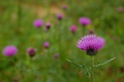 2012-05-07-14-59-09_ya.jpg