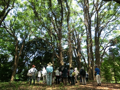 2012-05-09-10-20-59_ky.jpg