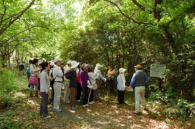 2012-05-09-10-36-20_ya.jpg